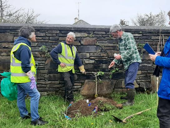 PlantingofBoskoopRedAppleTree